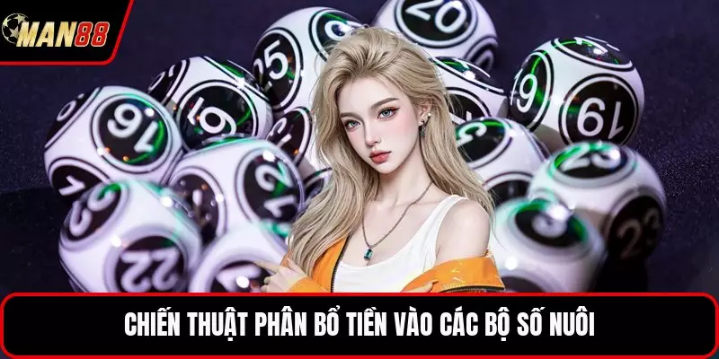 Chiến thuật phân bổ tiền vào các bộ số nuôi