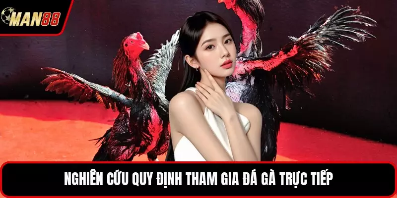Nghiên cứu quy định tham gia đá gà trực tiếp